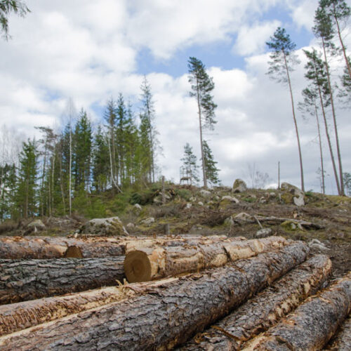 The First Step to Sustainable Agriculture
